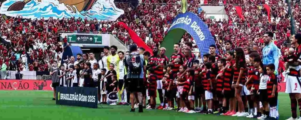 Flamengo atualiza Conselho sobre construção de estádio no Gasômetro