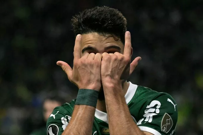 Palmeiras 1