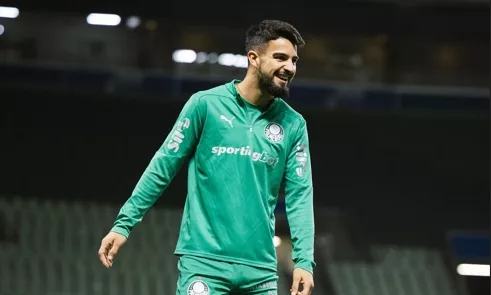 Palmeiras Flaco Werner Flister