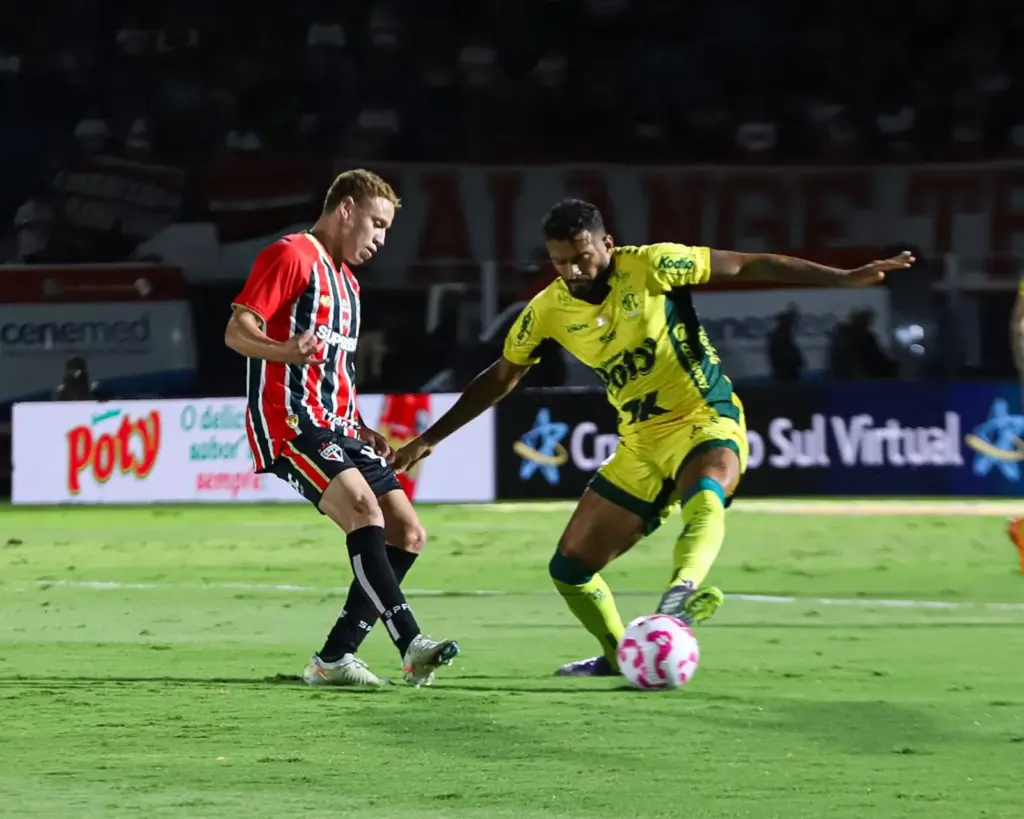 WhatsApp Image 2025 10 19 at 19.25.37