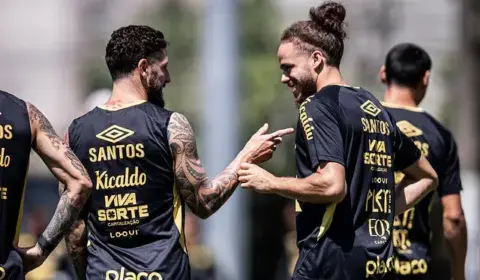 Botafogo x Santos – Onde assistir, escalações e arbitragem!