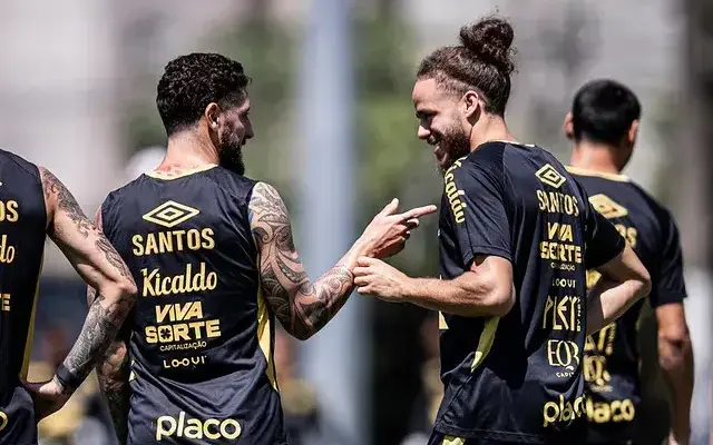 Botafogo x Santos – Onde assistir, escalações e arbitragem!