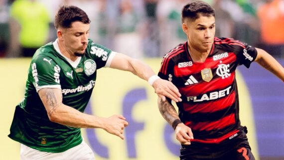 Jogadores de Palmeiras e Flamengo durante jogo pelo Brasileiro em maio de 2025 (foto: Adriano Fontes/Flamengo)