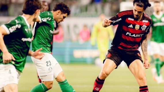 Lance do jogo entre Palmeiras e Flamengo em maio de 2025, no Allianz Parque (foto: Adriano Fontes/Flamengo - 25/5/2025)