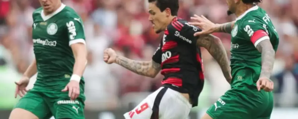 Gómez chama Wilton de soberbo e diz que árbitro tem algo contra o Palmeiras