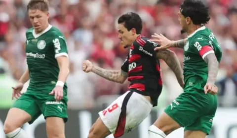 Gómez chama Wilton de soberbo e diz que árbitro tem algo contra o Palmeiras