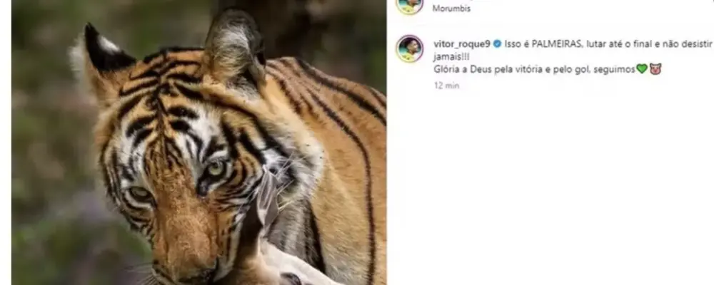 Marcos sai em defesa de Vitor Roque após post homofóbico e ganha apoio de Neymar: ‘Você é o melhor’