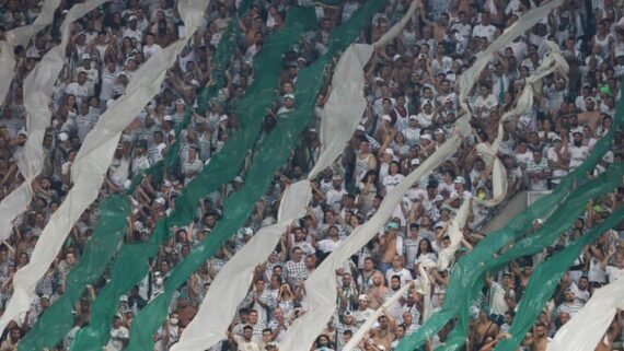Torcedores do Palmeiras (foto: Cesar Greco/Palmeiras)