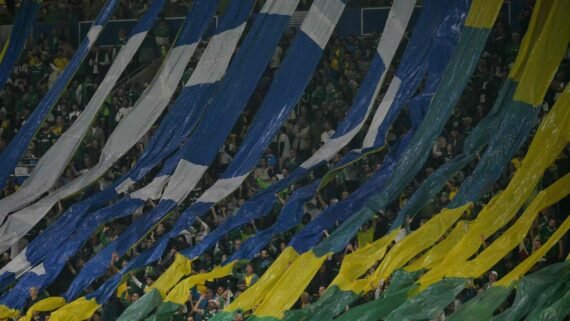Torcida do Palmeiras fez mosaico com as cores da bandeira do Brasil (foto: NELSON ALMEIDA / AFP)