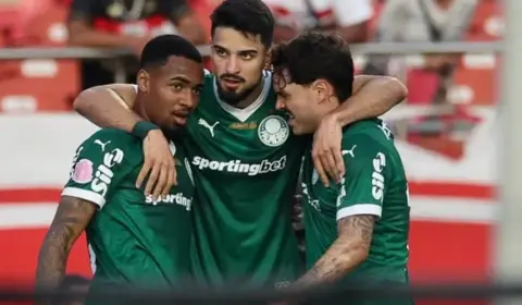 Palmeiras cresce na hora decisiva e assume liderança do Brasileirão