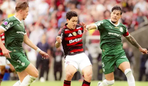 Palmeiras e Flamengo somam juntos mais de R$ 500 mi em prêmios em 2025; Flu lidera o ranking