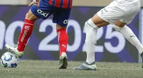 Responsável pela Arena Fonte Nova esclarece polêmica do gramado após Bahia x Palmeiras