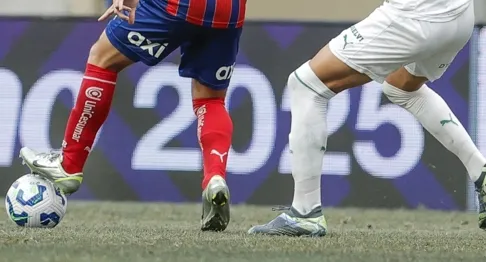 Responsável pela Arena Fonte Nova esclarece polêmica do gramado após Bahia x Palmeiras