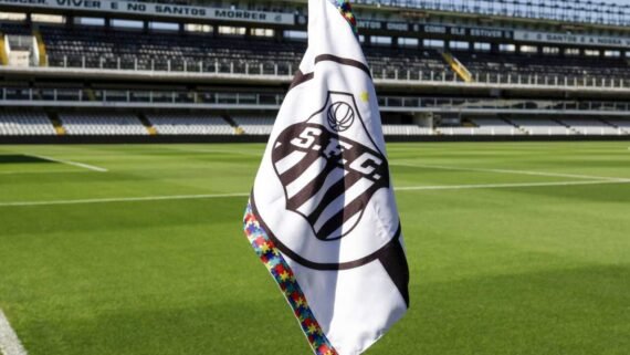 Bandeirinha do Santos na Vila Belmiro (Foto: Bruno Vaz/SFC) (foto: Bandeirinha do Santos na Vila Belmiro (Foto: Bruno Vaz/SFC))