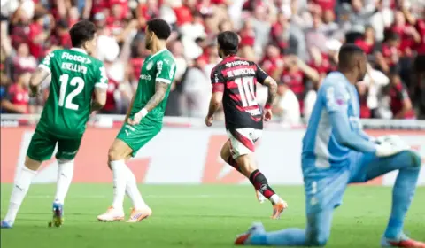 Veja os rivais de Flamengo e Palmeiras na reta final do Brasileirão