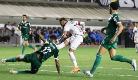 Palmeiras tropeça e Flamengo assume a ponta com goleada