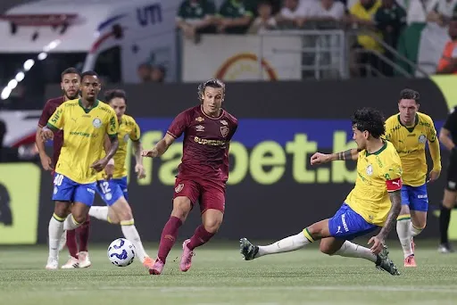 Palmeiras Fluminense Brasileirão