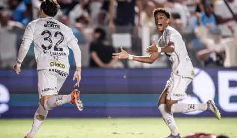 BRASILEIRÃO: Flamengo lidera, Santos deixa o Z-4 após bater o Palmeiras e Sport rebaixado