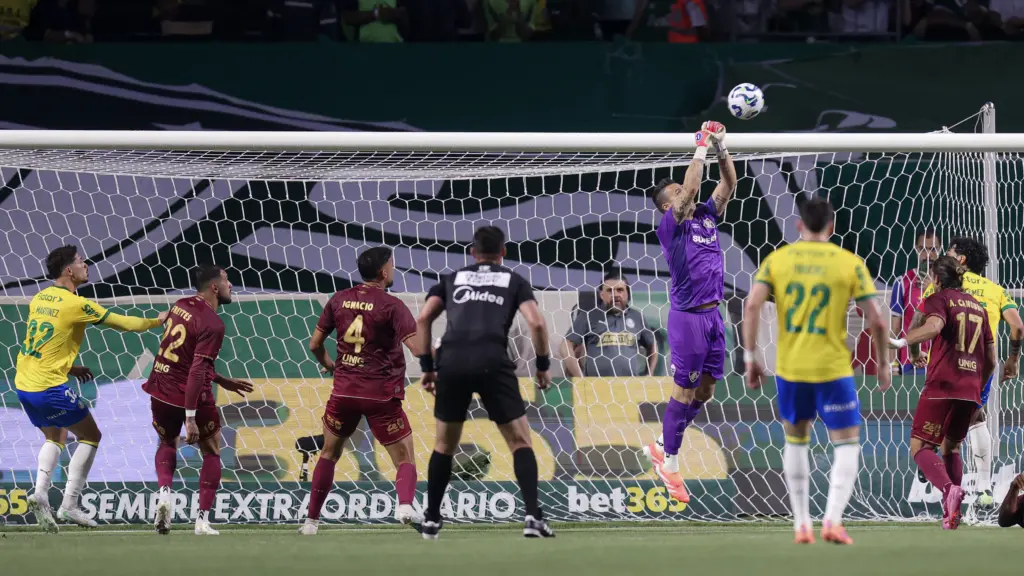 54940686076 d6e627aeaf o