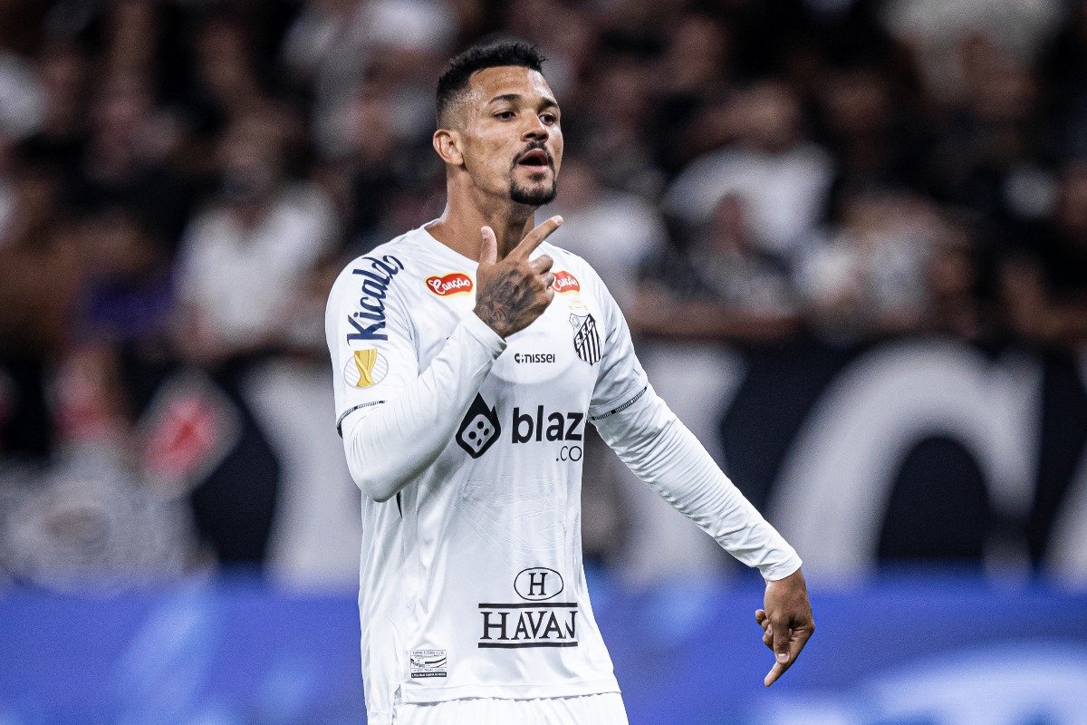 Zé Ivaldo, zagueiro do Santos (foto: Raul Baretta/Santos FC)