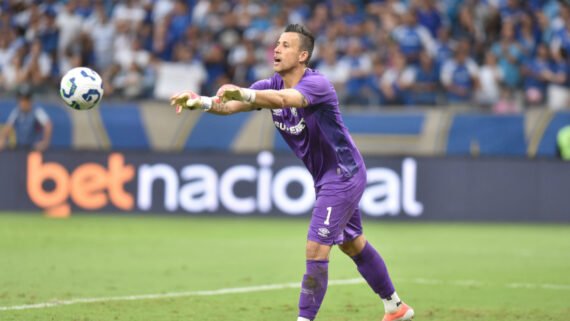 Goleiro Fábio, do Fluminense (foto: Ramon Lisboa/EM/D.A. Press)