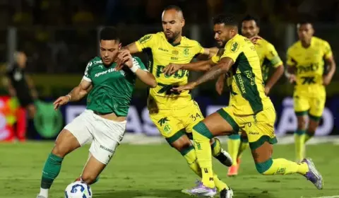 Palmeiras ainda é favorito, mas vê Flamengo dobrar chances de título do Brasileirão