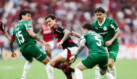 Palmeiras e Flamengo têm rivais similares, mas desafios distintos na reta final de Brasileirão