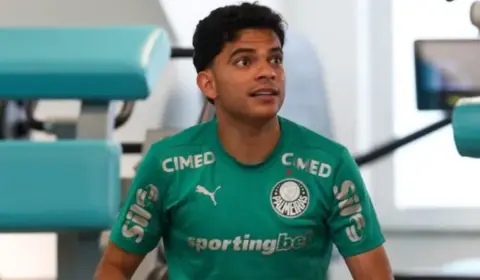 Palmeiras tem retornos importantes para encarar o Vitória no Allianz