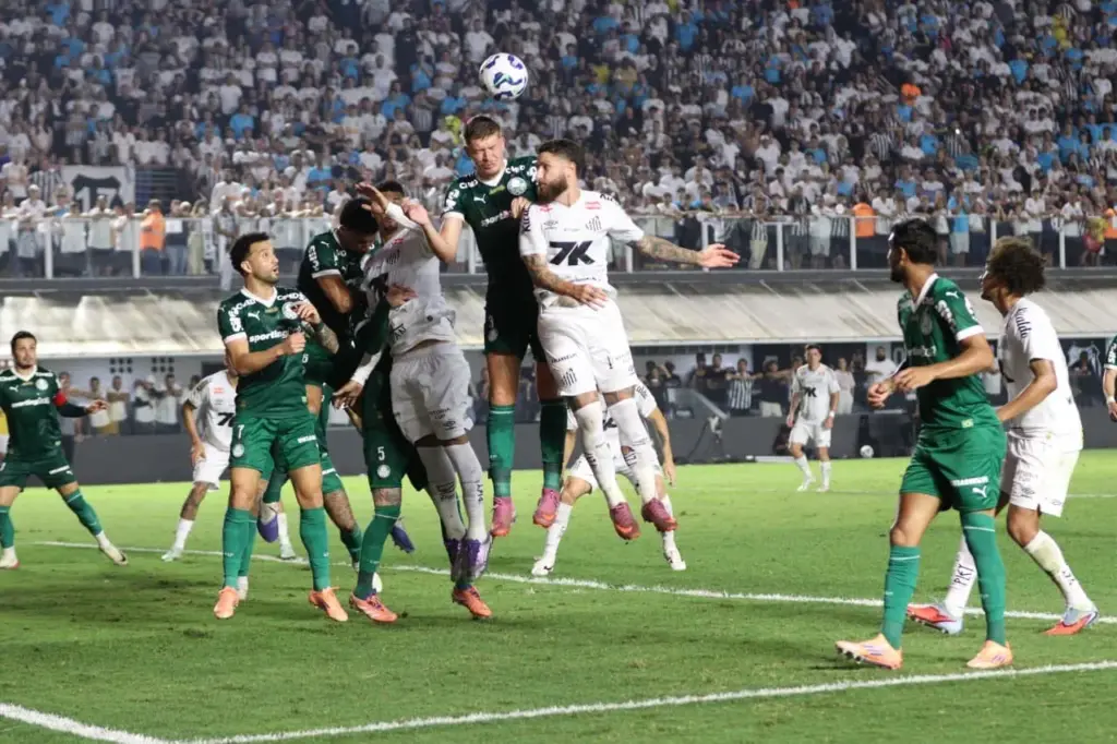 Santos 1 x 0 Palmeiras - Fotos: Rafael Lopes