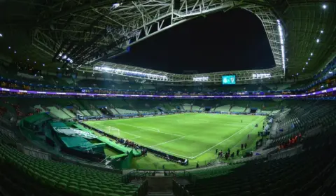 Palmeiras volta a defender campo sintético e alfineta Flamengo