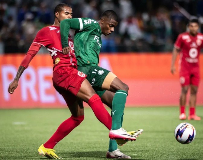 Ibrachina (foto: Guilherme Veiga/Palmeiras)