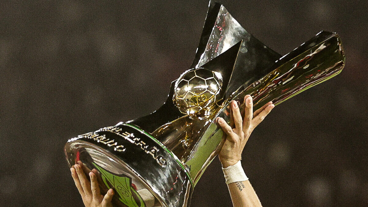 Taça do Campeonato Brasileiro (foto: Gilvan de Souza/Flamengo)