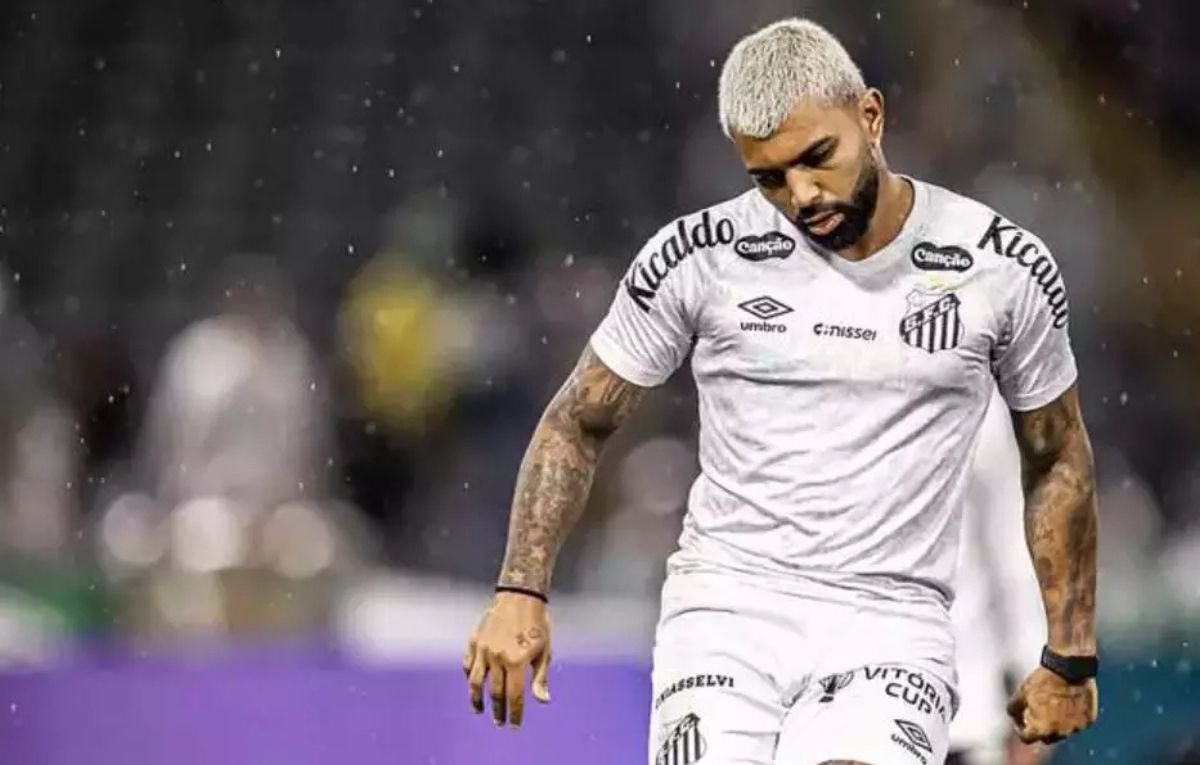 Gabigol, do Santos (foto: Raul Baretta / Santos)