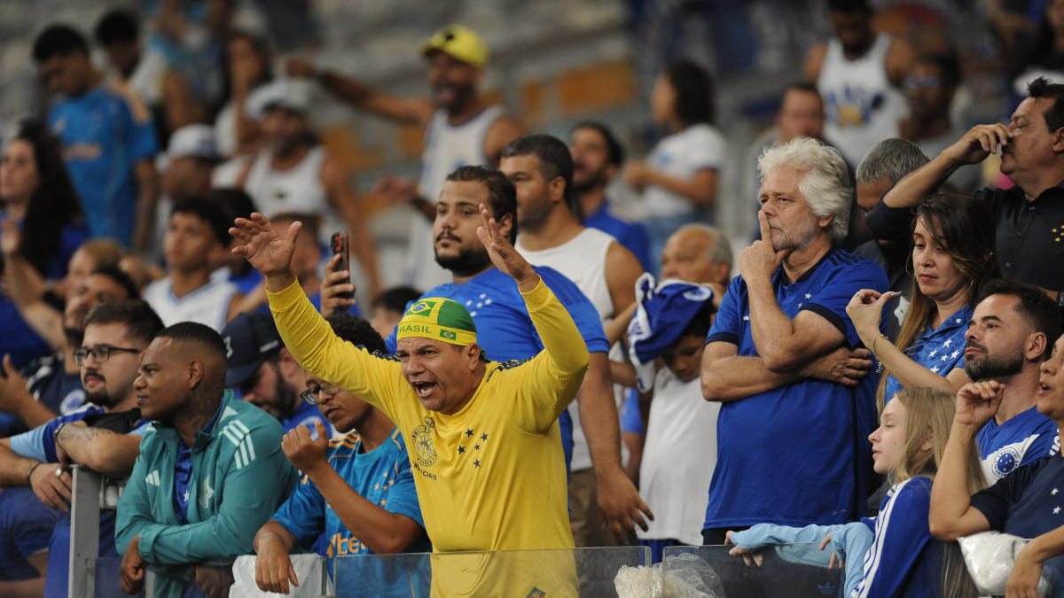 Torcida do Cruzeiro no Mineirão, em Belo Horizonte (foto: Alexandre Guzanshe/EM/DA Press)