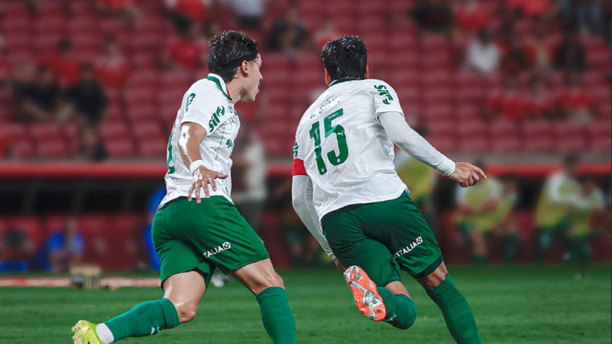 Internacional e Palmeiras (foto: Palmeiras/Divulgação)