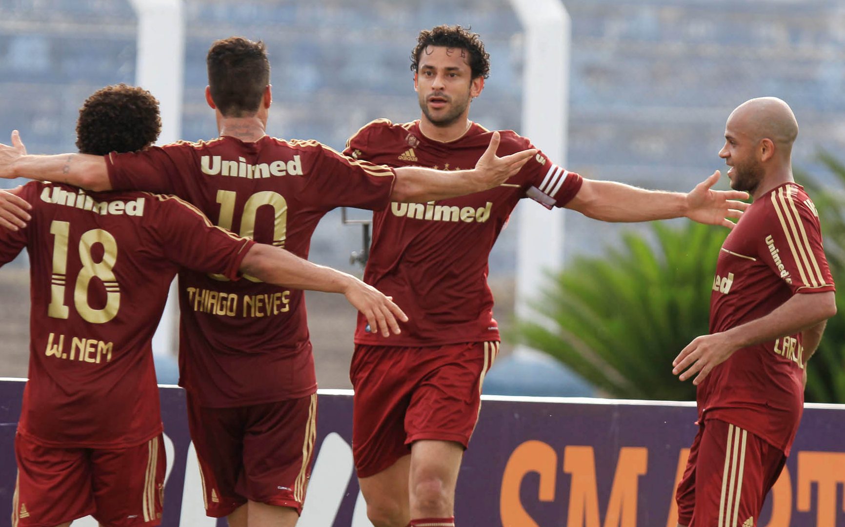 Jogadores do Fluminense em 2012 (foto: Ricardo Ayres/Photocamera Lance)