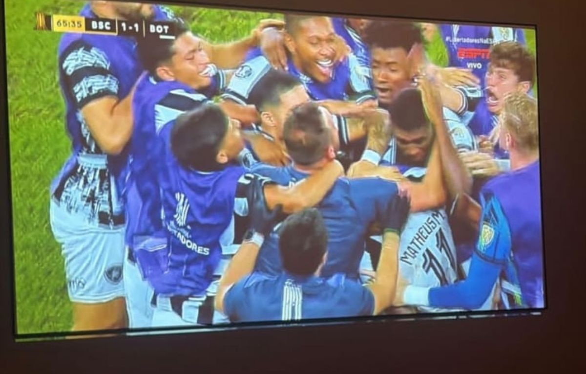 Botafogo (foto: Reprodução)