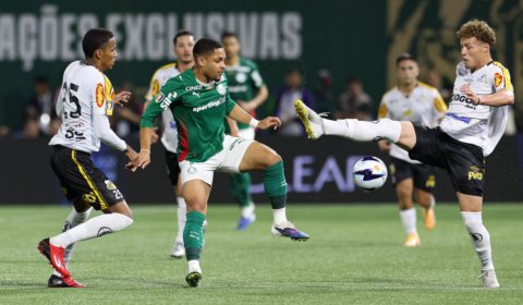 Novorizontino x Palmeiras: onde assistir ao vivo, horário e escalações pela final do Paulistão