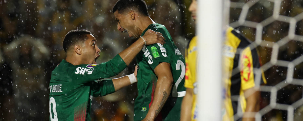 Palmeiras bate Novorizontino e é campeão do Paulista pela 27ª vez