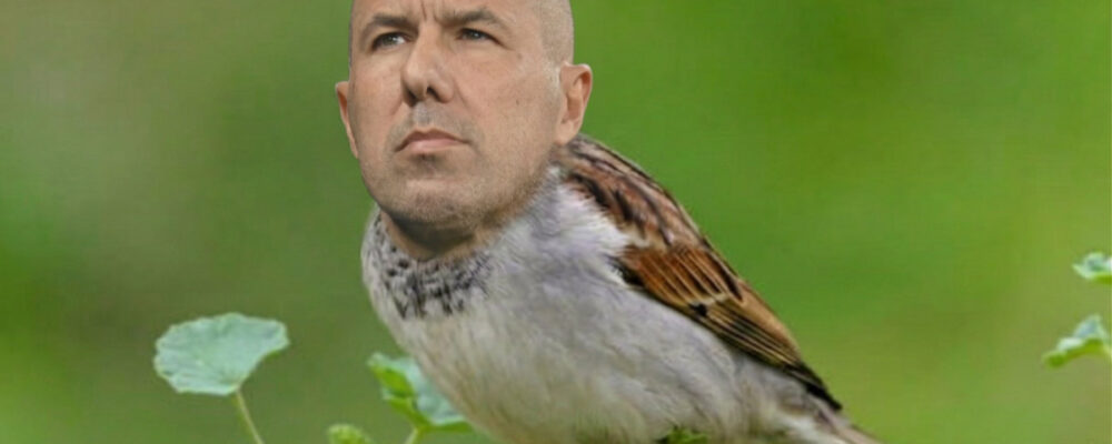 Jardim em apuros: os memes da vitória elástica do Bragantino sobre o Flamengo