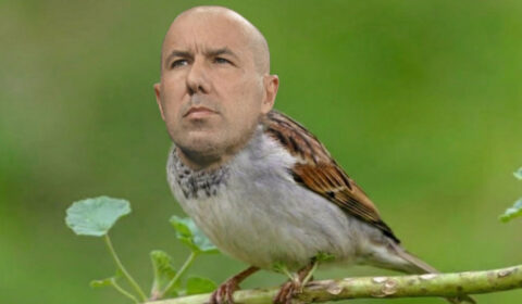 Jardim em apuros: os memes da vitória elástica do Bragantino sobre o Flamengo