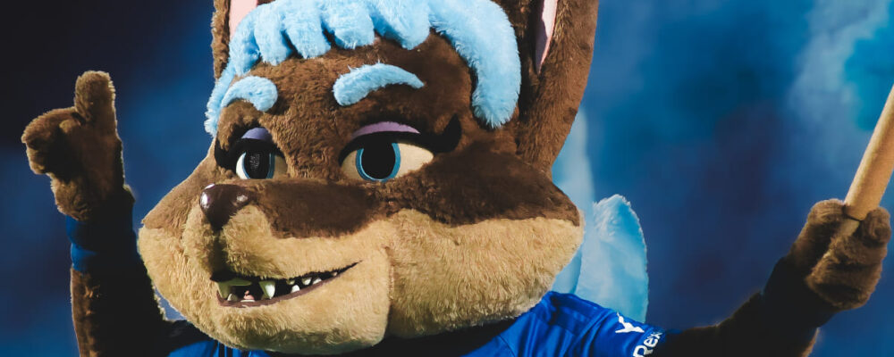 Nova mascote do Cruzeiro, Cabulosa reacende debate: como a misoginia opera no cotidiano