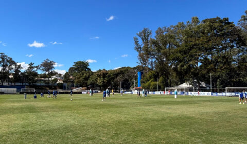 Reforço em campo, jovens da base e mais: Cruzeiro abre treino antes de jogo decisivo